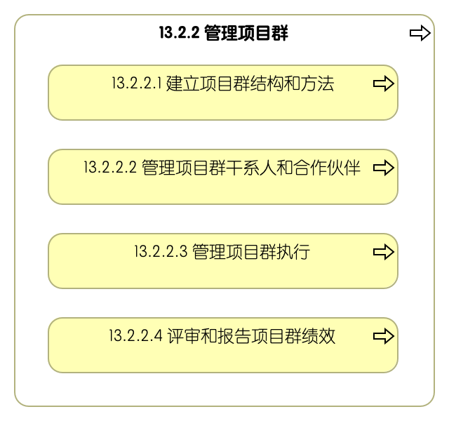 13.2.2 管理项目群