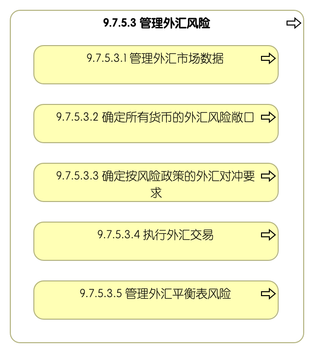 9.7.5.3 管理外汇风险