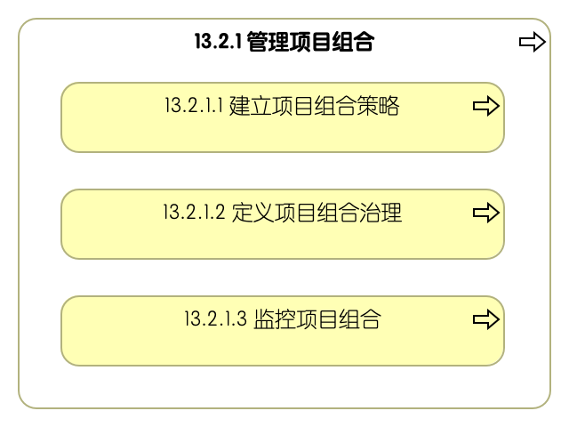 13.2.1 管理项目组合